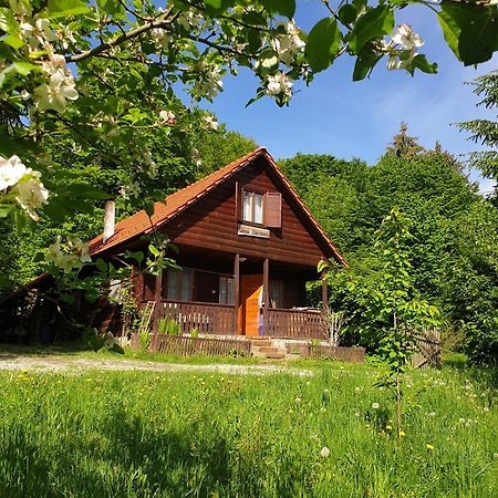 Casa Lacramioara Vila Sîmbăta de Sus Exterior foto