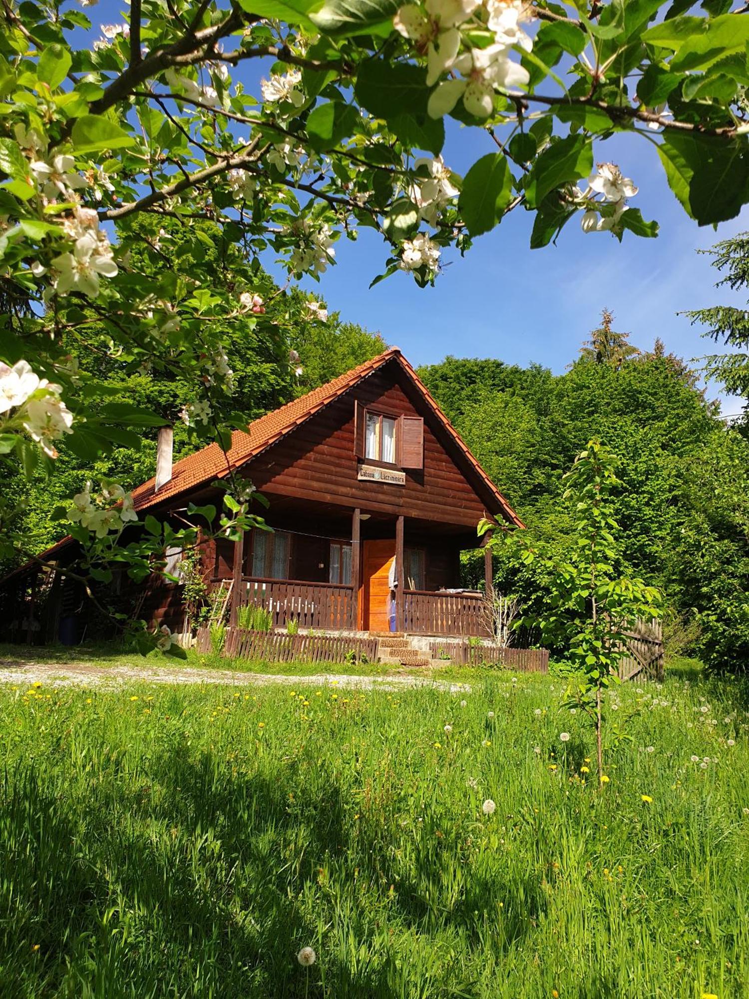 Casa Lacramioara Sîmbăta de Sus Exterior foto